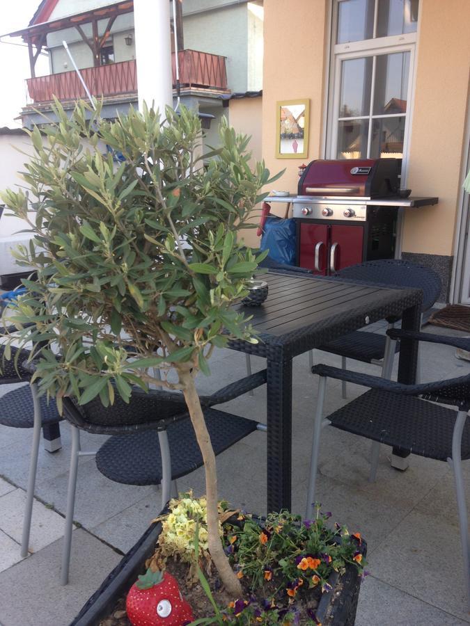 Gaestehaus Tante Tienchen 7 Minuten Zu Fuss Zum Europa Park , Plus Kostenloses Parkplatzticket Rulantica ,Alle Unsere Suiten Haben Einen Balkon 鲁斯特 外观 照片